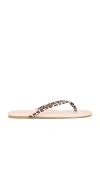 Solei Sea Indie Novelty