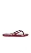 Solei Sea Indie Patent