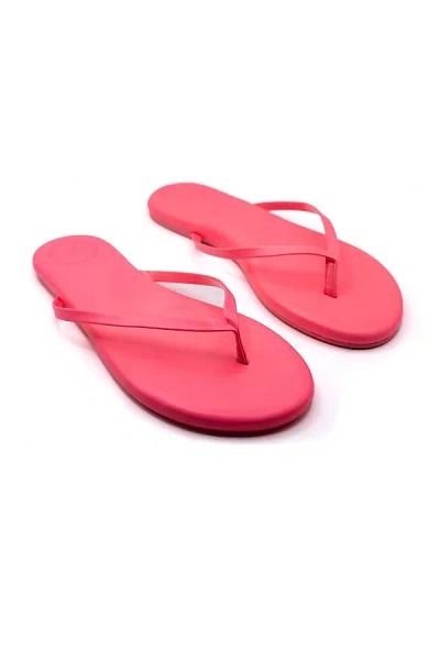 Solei Sea Indie Thong Sandals In Pink