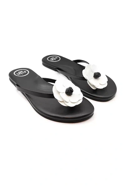 Solei Sea Valentina Thong Sandals In Black