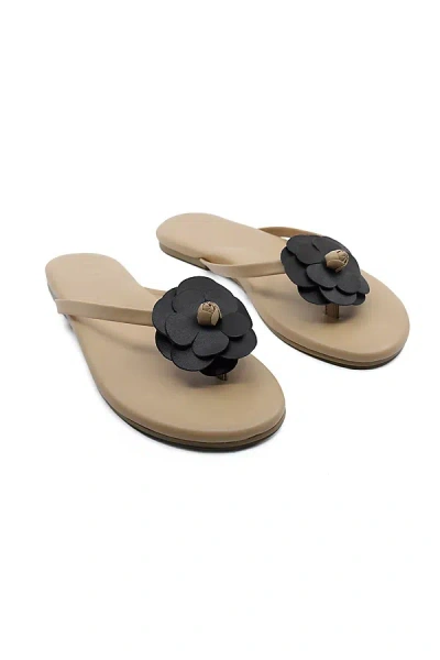 Solei Sea Valentina Thong Sandals In Brown