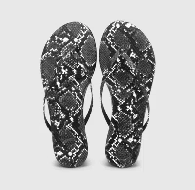 Solei Sea Women's Indie Sandals In Black Snake Print In Multi