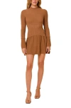 Solid & Striped Amara Ribbed Minidress In Brown