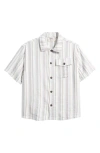 Solid ! Umber Stripe Short Sleeve Linen Blend Button-up Shirt In Multi