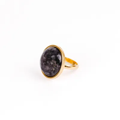 Solistial Women's Gold / Black Aya Larvikite Statement Ring Gold