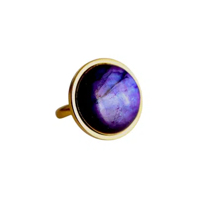 Solistial Women's Pink / Purple / Gold Aya Purple Labradorite Statement Ring Gold In Multi
