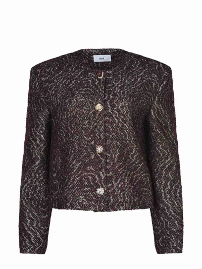 Solotre Jacket In Brown