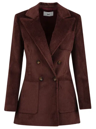Solotre Jackets Purple In Burgundy