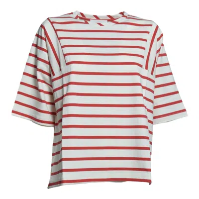 Solotre T Shirts And Polos In Multi