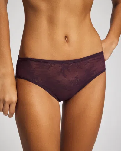 Soma Women's All-over Lace Hipster In Purple Size Xs |  Vanishing Edge Panties In Plum Perfect