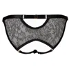 Something Wicked Women's Black Annabel Lace Ouvert Open Brief In Black