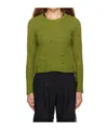 Song For The Mute Crew Neck Sweater In Green