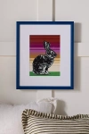 Sonia Romero Rabbit By  Wall Art