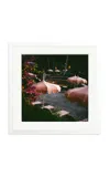 Sonic Editions - Pink Sunshades Framed Print - Multi