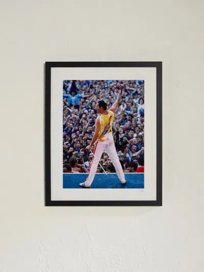 Sonic Editions Framed 1986 Freddie Mercury At Slane Castle Print, 40"x 50" In Multi