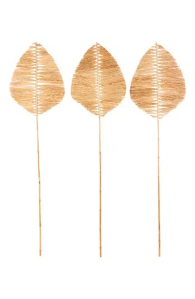 Sonoma Sage Home 3-piece Natural Dried Bamboo Leaf Foliage In Light Brown