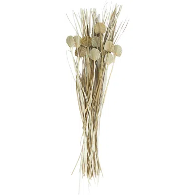 Sonoma Sage Home Dried Pampas Grass Bouquet In Brown