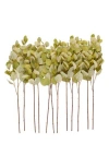 Sonoma Sage Home Set Of 12 Eucalyptus Artificial Stems In Green