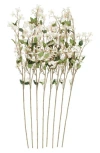 Sonoma Sage Home Set Of Eight Begonia Artificial Flowers In White