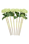 Sonoma Sage Home Set Of Eight Green Hydrangea Artificial Flowers In Green