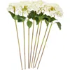 Sonoma Sage Home Set Of Eight White Hydrangea Artificial Flowers In White