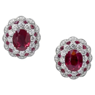 Pre-owned Sophia D . Ruby And Diamond Earrings In Multi