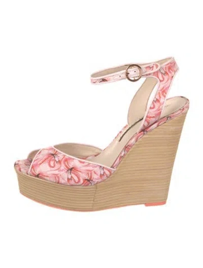 Pre-owned Sophia Webster Floral Print Pumps In Multi