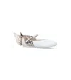 Sophia Webster Leather Evangeline Flats In White