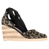 Sophia Webster Printed Espadrille Wedge Pumps In Brown Polyester In Brown