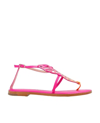 Sophia Webster Round Head Flat-soled Sandals In Multicolour