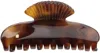 Sophie Buhai Brown Small Fan Shell Claw Hair Clip In Tortoise