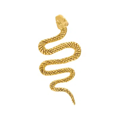 Sophie Simone Designs Women's Gold Earring Serpentine Ondulado