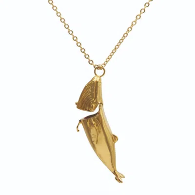 Sophie Simone Designs Women's Gold Whale Locket Necklace