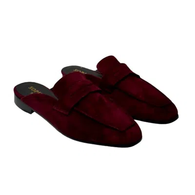 Sophique Milano Women's Riviera Mules In Bordeaux In Burgundy