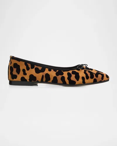 Sophique Scala Suede Ballerina Flats In Leopard