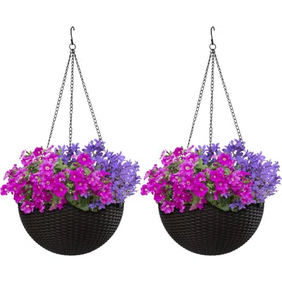 Sorbus 2-pack Hanging Planters In Multi