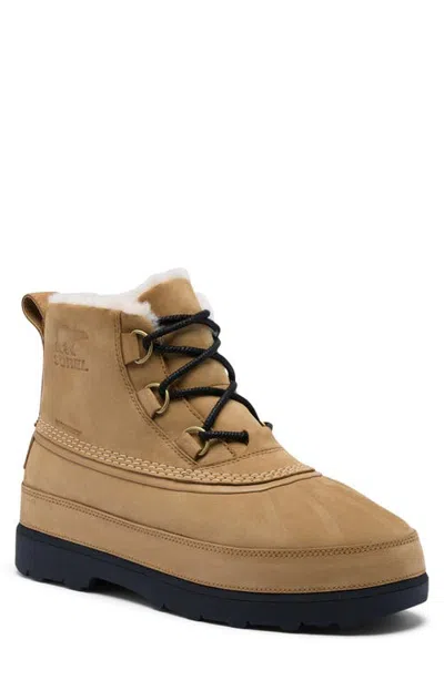Sorel Ambler Fireside Faux Shearling Lined Chukka Waterproof Leather Boot In Caribou Buff/black