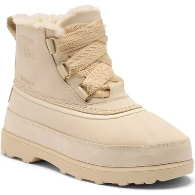 Sorel Ambler Fireside Waterproof Chukka Boot In Neutral
