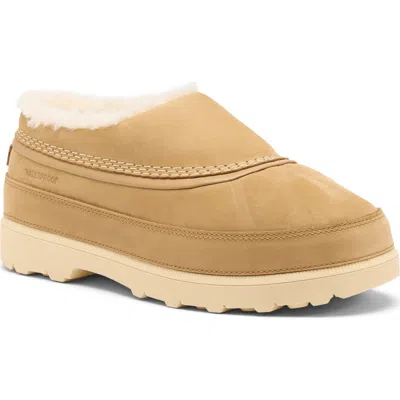 Sorel Ambler Fireside Waterproof Slip-on In Neutral