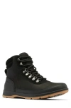 Sorel Ankeny Ii Waterproof Hiking Boot In Black/ Gum 10