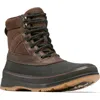 Sorel Ankeny Ii Waterproof Hiking Boot In Tobacco/black