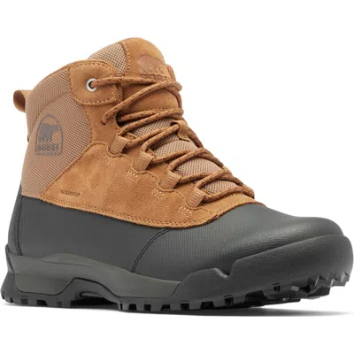 Sorel Buxton Lite Plus Waterproof Boot In Elk/ Black