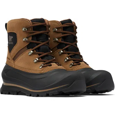 Sorel Buxton Waterproof Snow Boot In Delta/black