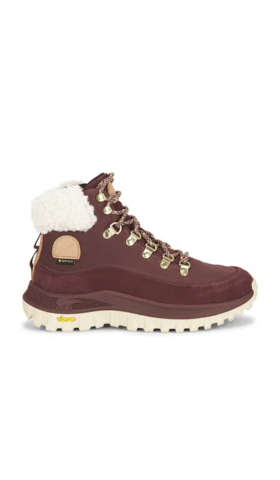 Sorel Callsign Conquest Gore-tex Boot In Brown