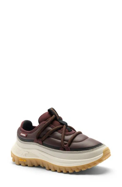Sorel Callsign Daybreak Lx Sneaker In Multi
