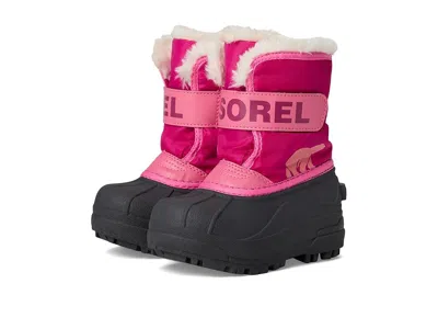 Sorel Childrens Snow Commander (toddler/little Kid) Kids Shoes Tropic Pink/deep Blush : 8 Toddler M, Synth