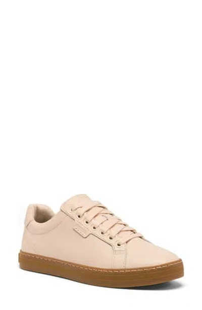 Sorel Cyprus Lx™ Sneaker In Neutral