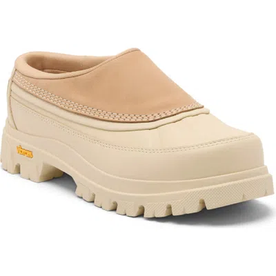 Sorel Daystorm™ Clog In Multi