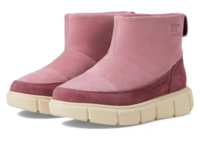 Sorel Explorer Iii Slip-on Wp (little Kid/big Kid) Kids Shoes Dazed Mauve/bleached Ceramic : 4 Big K In Multi