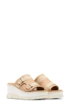 Sorel Joanie Iii Wedge Slide Sandal In Honest Beige/chalk